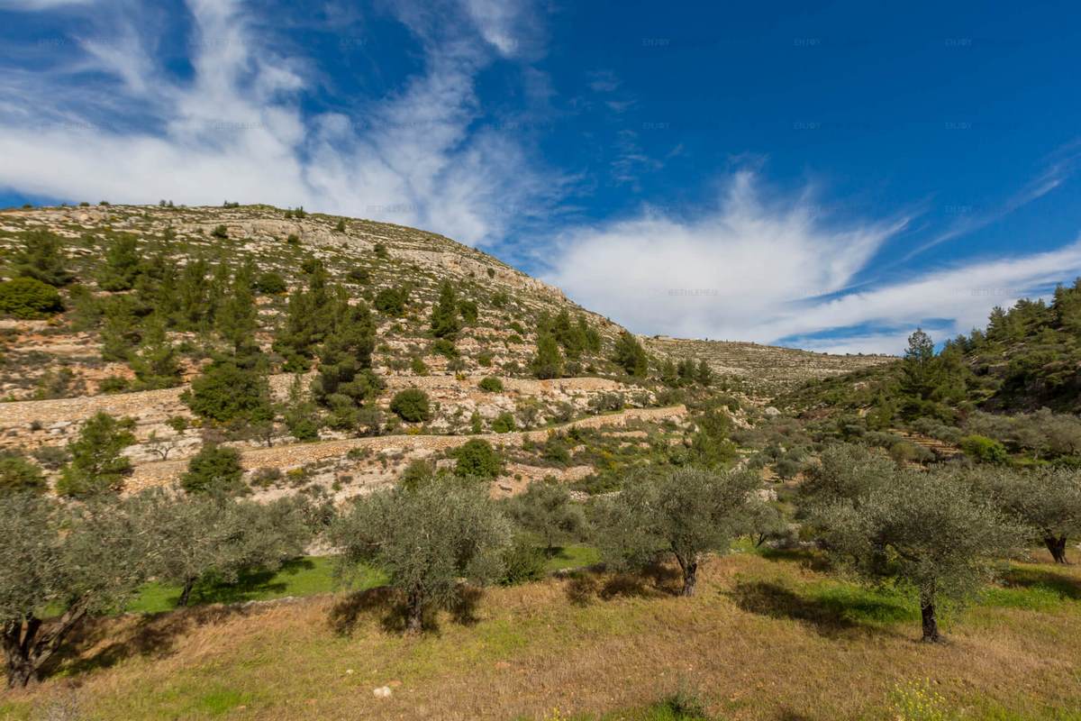 The al-Makhrour valley landscape
